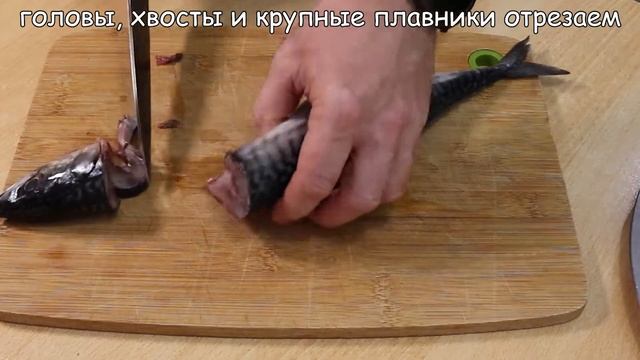 Скумбрия в рассоле в домашних условиях. Засолка скумбрии.