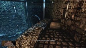 Мэддисон спасает Тодда Говарда в Skyrim