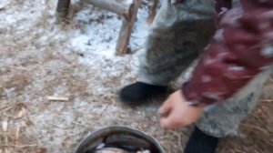 На ГАЗ 66 втайгу.  На рыбалку..