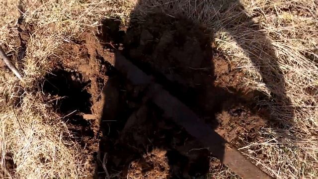 Какой на фиг КАРАНТИН, если ЖРАТЬ нечего / Выживаю в режиме САМОИЗОЛЯЦИИ смотреть онлайн