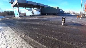 ‼️Scania S500 POV‼️ Ставропольский Край.Калмыкия. Truck Driver. Дальнобой??