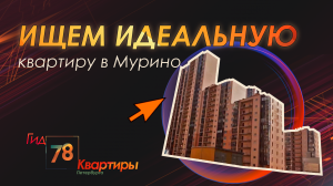 Ищем идеальную квартиру в Мурино