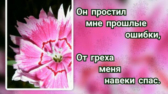 Гимны надежды 158 Каждый день и каждое мгновенье (-) смотреть онлайн