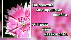 Гимны надежды 158 Каждый день и каждое мгновенье (-)