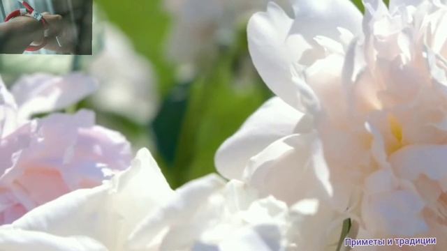 На какой руке носить красную нить/Красная нить на запястье/7 счастливых узлов #краснаянить