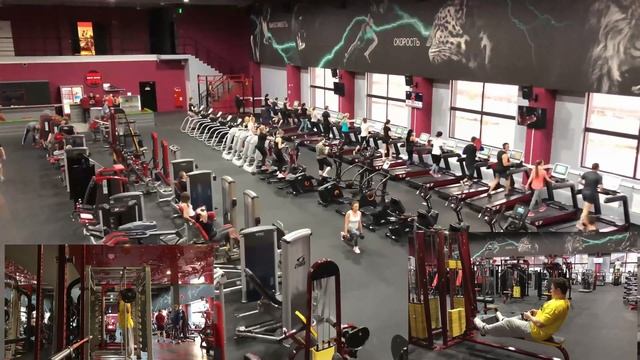 GABA. ГАМК. Гамма-аминомасляная кислота. Нужна ли эта добавка? ? / Железный Оберег смотреть онлайн