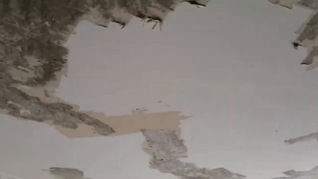 Мой первый опыт. Снятие побелки с потолка.