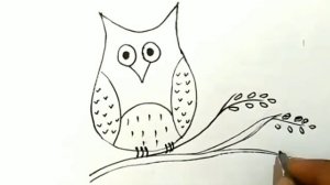 Owl drawing, how to draw an owl, easy step drawing for kids  ।