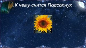К чему снится Подсолнух (Сонник)