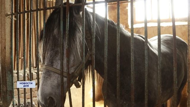 На Оренбургском ипподроме стартовал новый сезон