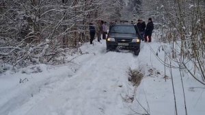 От Чертова городища до станции Мышбор через лес.