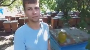 6 основных особенностей акациевого мёда