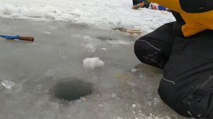 Рыбалка на Яузском водохранилище. 2022