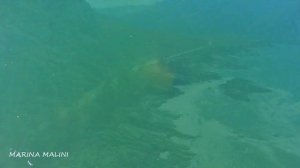 ПЕСНЯ река КАТУНЬ