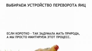 Инкубатор для яиц СВОИМИ РУКАМИ! Это ПРОСТО !