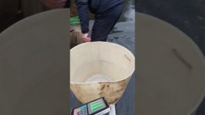 @OnlySpinru Назаркин Анатолий в гостях у Голицыно Fish