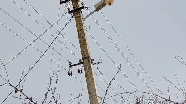 Новый интернет, стекловолокно,дождались.
