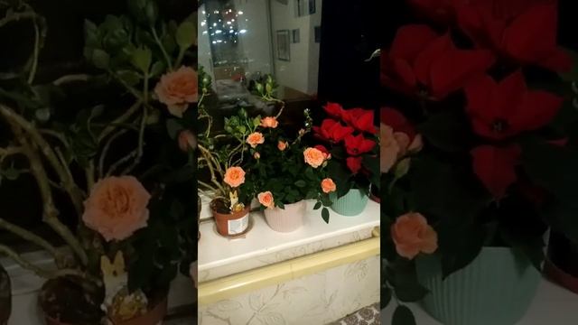 ?☕?ПРОВЕРКА РЕЦЕПТА ТВОРОЖНОЙ ЗАПЕКАНКИ ТВОРОПЫШ ОТ Dk.Oetker / НЕОЖИДАННЫЙ РЕЗУЛЬТАТ СМОТРИТЕ ДО К