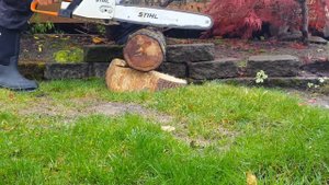 STIHL MS 390  TEST CUT  ENGINE: 64cc