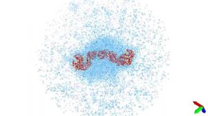 Coarse grained antibody to cadherine.mp4