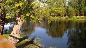 Самара. Волгарь. Набережная