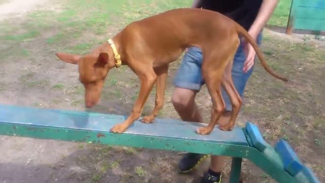 Teododo 6m. смотреть онлайн