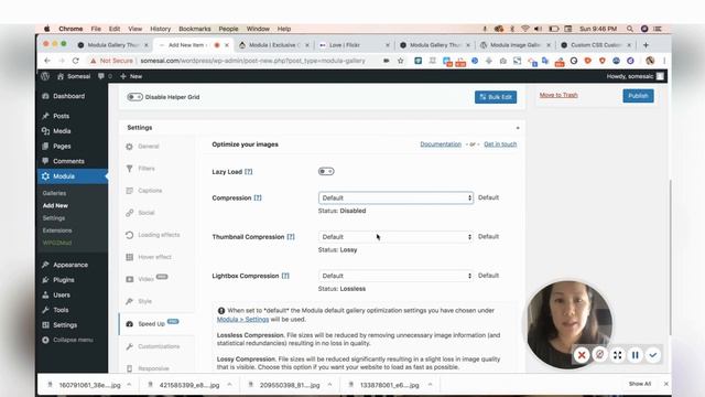 Modula Gallery: Wordpress Plugin Image Gallery: Demo and Review смотреть онлайн