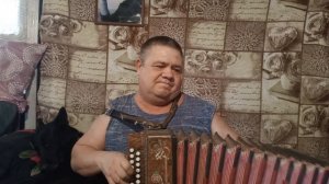 Падал белый снег (под гармонь)