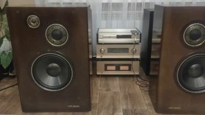 Топовая акустика Victor SX-1000