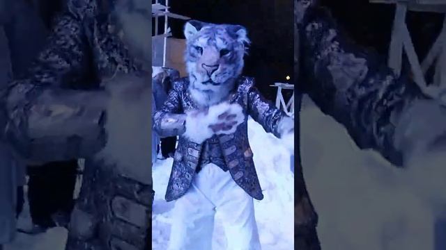 Москва ,парк Горького - Новогодняя Зимняя сказка? смотреть онлайн