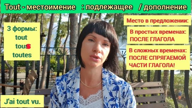 TOUT: существительное, прилагательное, местоимение, наречие. Уроки французского языка.