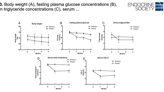 The Truth About Berberine | What you need to know смотреть онлайн