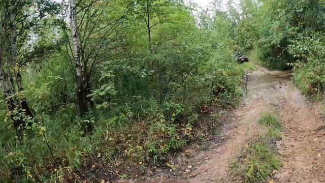 БАГГИ из СЕМЕРЫ и квадроциклисты смотреть онлайн