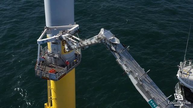 2019 - SOV Wind of Change - Offshore Windfarm Maintenance