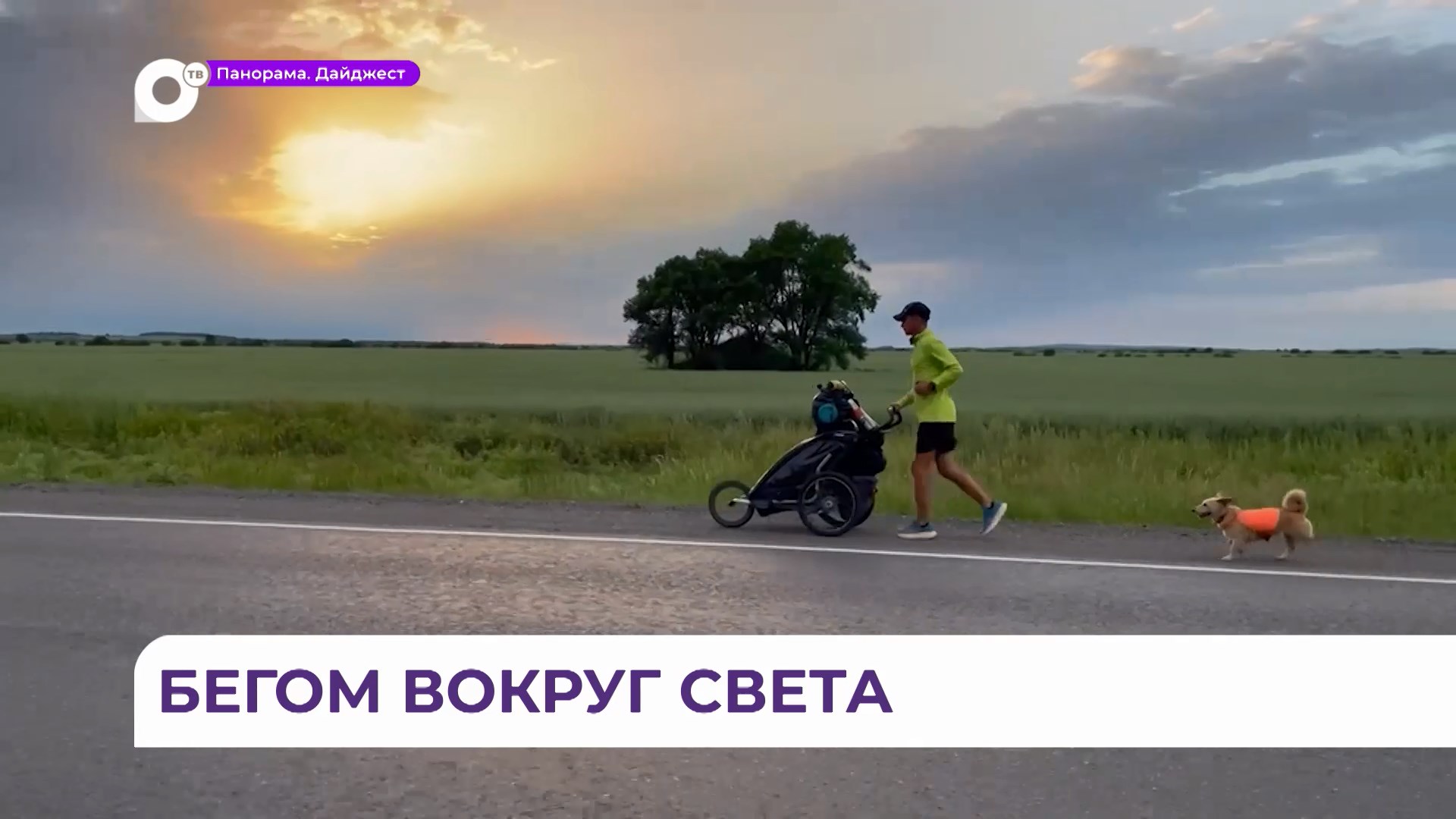 бег вокруг стульев. ребенок около дерева. дети бегут по кругу. бегала вокруг. бегала вокруг.