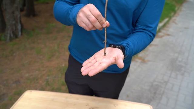 Цикл мастер-классов "Полезные советы". Ориентирование на местности. смотреть онлайн