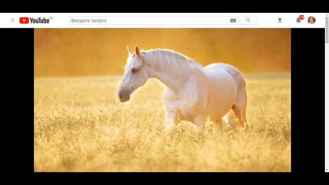 ГДЕ НАЙТИ ХОРОШУЮ ДЕВУШКУ? Дислайв. смотреть онлайн