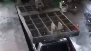 Утилизация авто