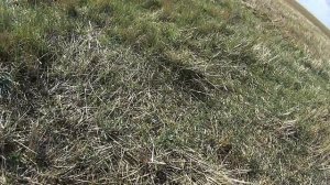 Коп на Брянской земле ( Копать не перекопать) часть8