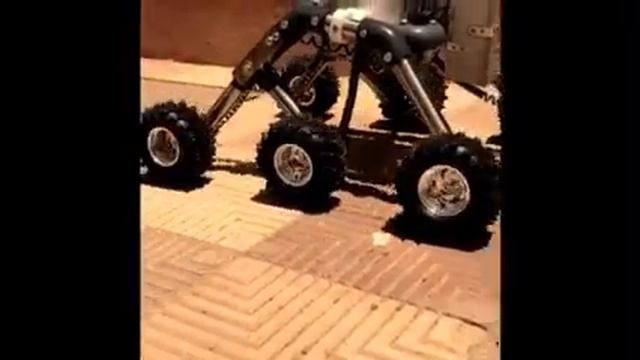 ROVER video смотреть онлайн