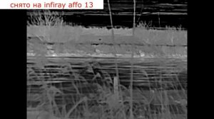 охота на бобра с подхода с карабином ata arms turqua и тепловизором infiray affo 13