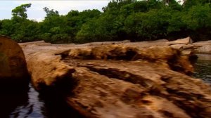 KORUBO: Morir matando - ¡Ahora en Alta Calidad! (Documental Completo)