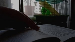 ASMR ? НЕРАЗБОРЧИВЫЙ ШЁПОТ. ЧТЕНИЕ КНИГИ. АСМР.