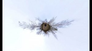 Spring is waiting ❄