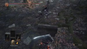 Dark Souls III - Гайд по фарму: Бледный язык (Ковенант: Пальцы Розарии)