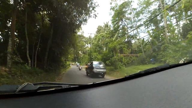 Дорога до рисовых полей из Убуда. смотреть онлайн