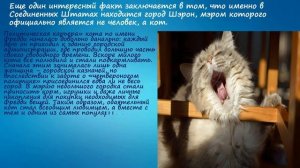 Интересные факты о странах мира!