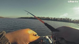 ВОДЫ нет, а МЫ ЛОВИМ СУДАКА, ЖЕРЕХА и ЩУКУ. Осенняя рыбалка в Астрахани 2021