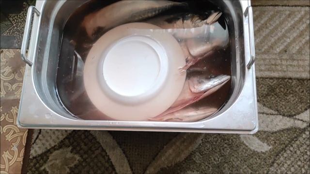 Рыба горячего копчения Вкуснятина смотреть онлайн