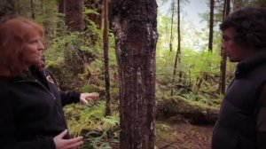 Wild Canada: National Geographic Adventure | World Expeditions